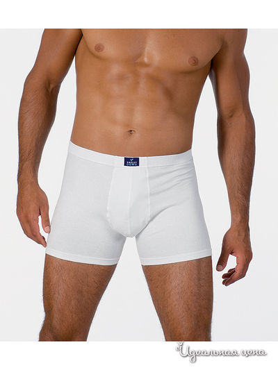 Боксеры Snelly, цвет белые, серые, синие, черные