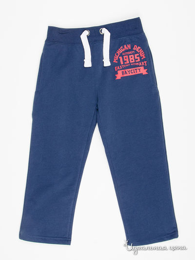 Штаны Life and Legend, цвет синие