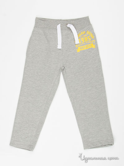 Штаны Life and Legend, цвет серые