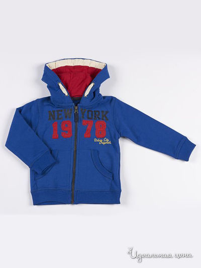 Толстовка Minoti, цвет синяя