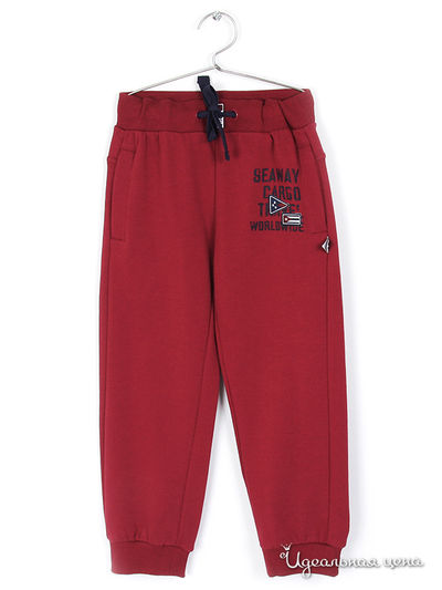 Брюки Coccodrillo, цвет бордовый