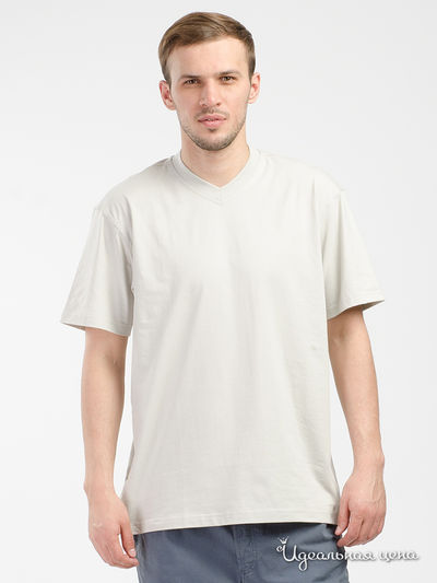  Swan, цвет серый