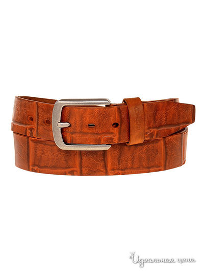  Dispacci, цвет рыжий