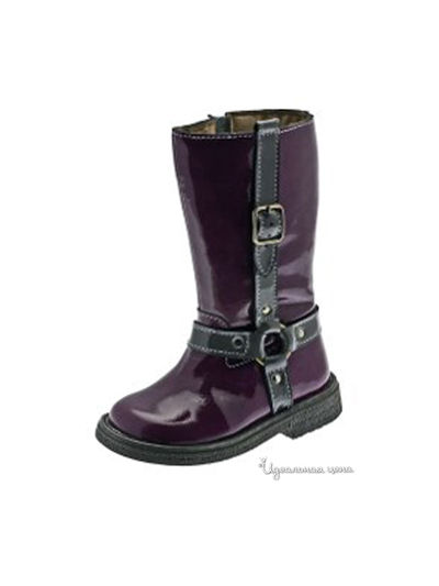 Сапоги PetitShoes, цвет лиловый, чёрный