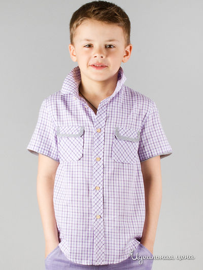 Рубашка Comusl, цвет фиолетовая