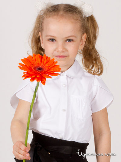 Блуза Comusl, цвет белый