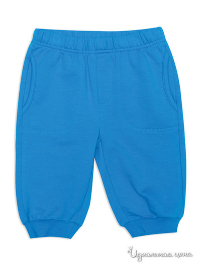 Бриджи PlayToday, цвет синий