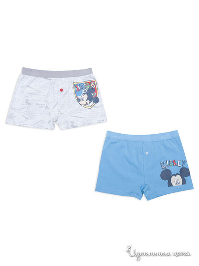 Трусы PLAYTODAY для мальчика, цвет серый, голубой PlayToday, цвет серый, голубой