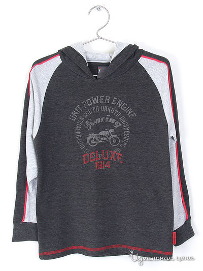 Толстовка Coccodrillo, цвет серый/черный