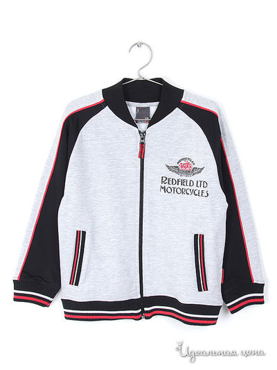 Толстовка Coccodrillo, цвет серый