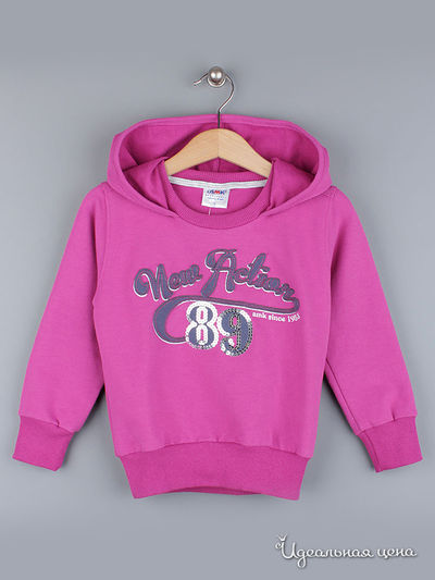 Толстовка Amk, цвет Бордо