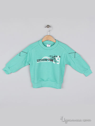 Толстовка Amk, цвет Зеленый