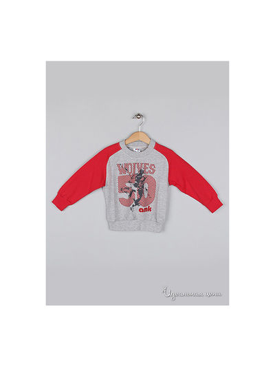 Толстовка Amk, цвет серый