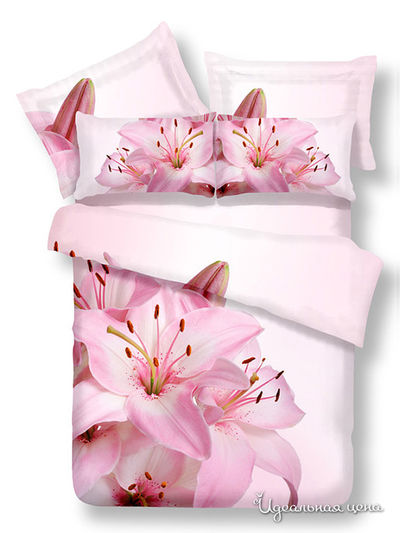 КПБ RS-91 (2 спальный (180х215) 4 наволочки) Famille, цвет Мультиколор