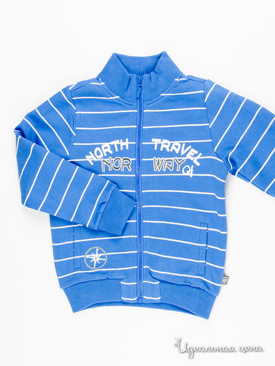 Толстовка Quadri Foglio, цвет синий