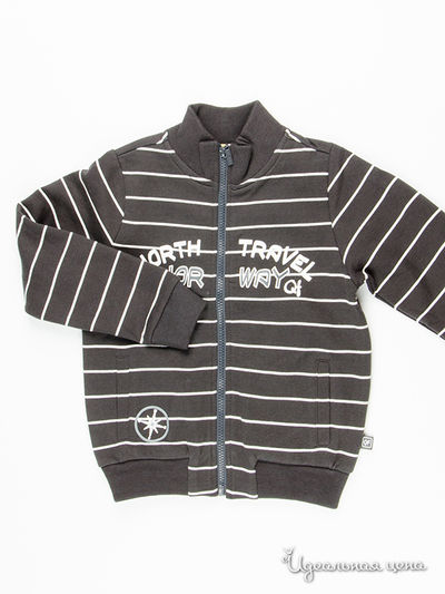 Толстовка Quadri Foglio, цвет темно-серый