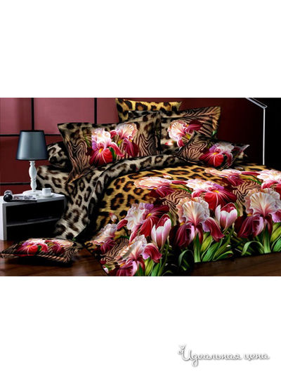 КПБ Семейное Aura, цвет мультиколор