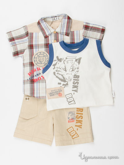 Комплект D & G, цвет мультиколор