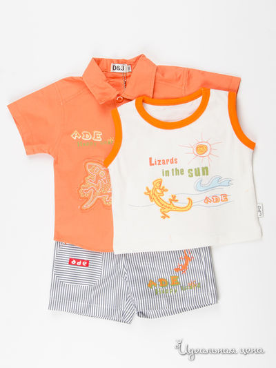 Комплект D & G, цвет мультиколор