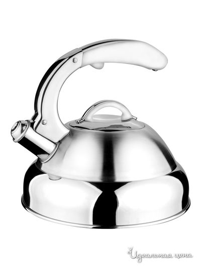 Чайник Regent, цвет стальной