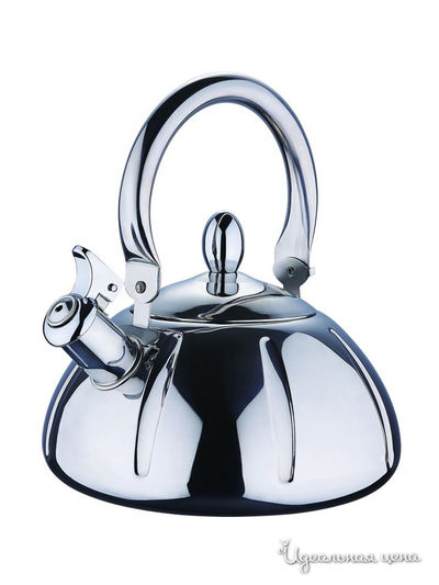 Чайник Wellberg, цвет металл