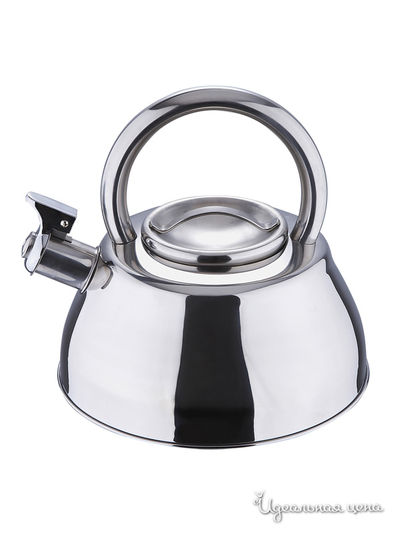 Чайник Wellberg, цвет металл