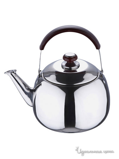 Чайник Wellberg, цвет металл