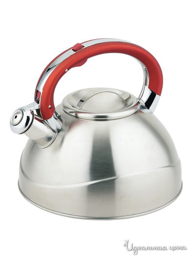 Чайник Wellberg, цвет металл