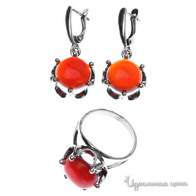 Комплект Migura, цвет цвет коричневый