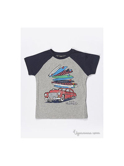 Футболка Soul & Glory, цвет серая