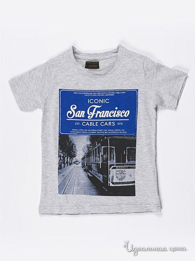 Футболка Soul & Glory, цвет серая