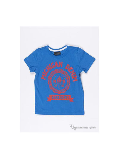 Футболка Life and Legend, цвет голубая