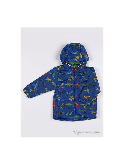 Куртка Minoti, цвет синий