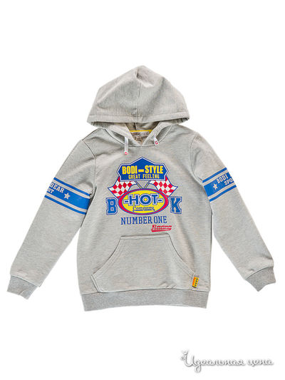 Толстовка Bodi Bear, цвет мультиколор