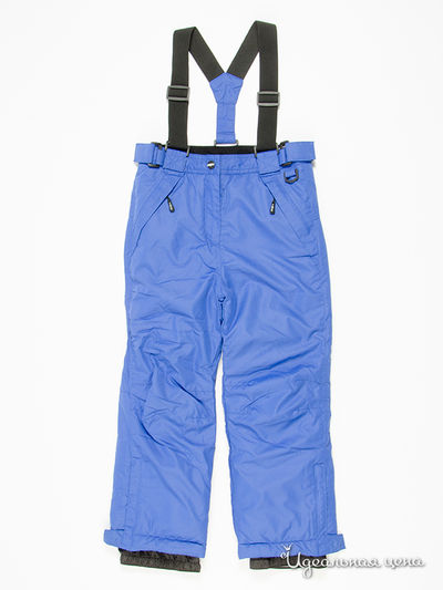 Брюки Young Reporter, цвет синий