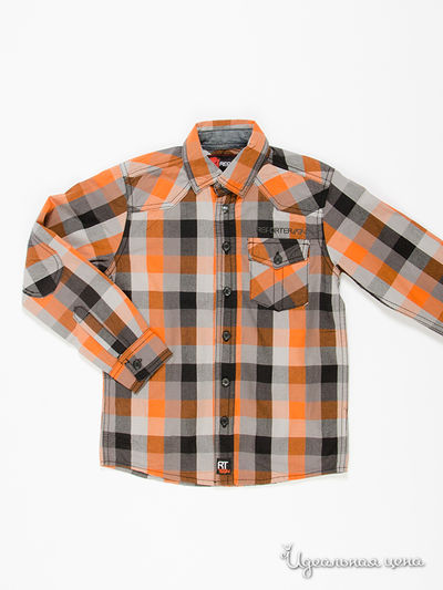 Рубашка Young Reporter, цвет мультиколор