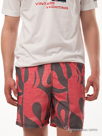 Шорты Paul & Shark, цвет серый, красный