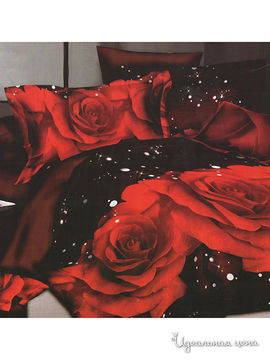 Комплект постельного белья 1,5-спальный Dominanta, цвет черный, красный, белый