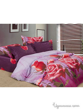 КПБ 1,5-спальный 3D Храмцовский текстиль, цвет мультиколор