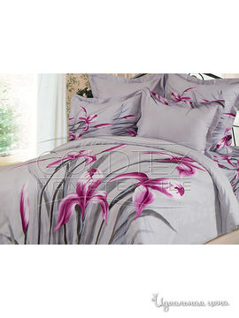 Комплект постельного белья Евро Goldtex, цвет серый, розовый