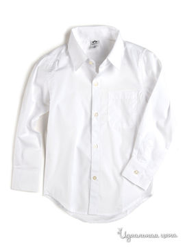 Рубашка Appaman для мальчика, цвет белый