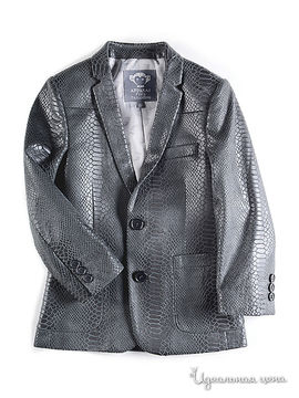 Пиджак Appaman для мальчика, цвет серый
