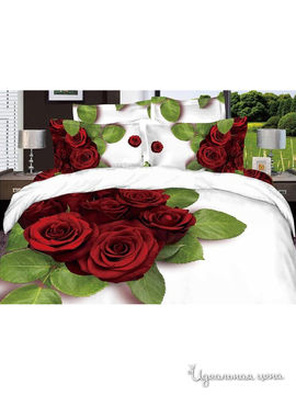 Комплект постельного белья Евро 3D "Kazanov.a." "Бургундская роза", цвет белый
