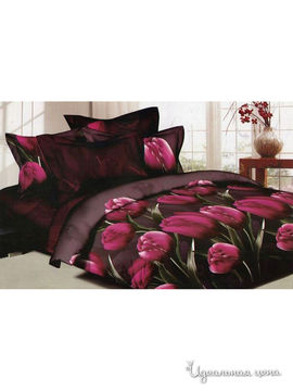 Комплект постельного белья Евро "Kazanov.a." "Тюльпан", цвет красный, бордовый