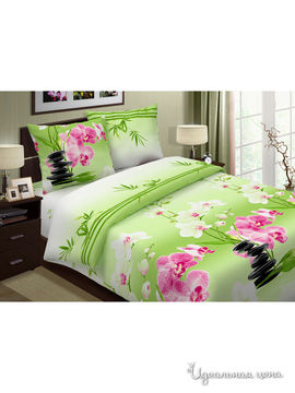 Комплект постельного белья 1,5 спальный Pastel, цвет зеленый, розовый