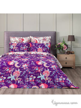 Комплект постельного белья Евро Togas, цвет фиолетовый