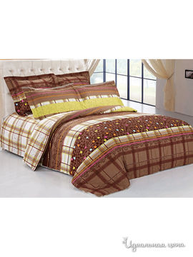 Комплект постельного белья Семейный Softline, цвет коричневый, бежевый
