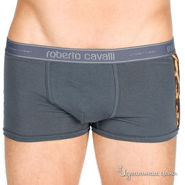 Трусы Roberto Cavalli мужские, цвет серый