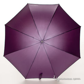 Зонт Ferre, цвет фиолетовый