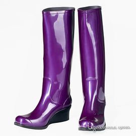 Сапоги G&G женские, цвет фиолетовый